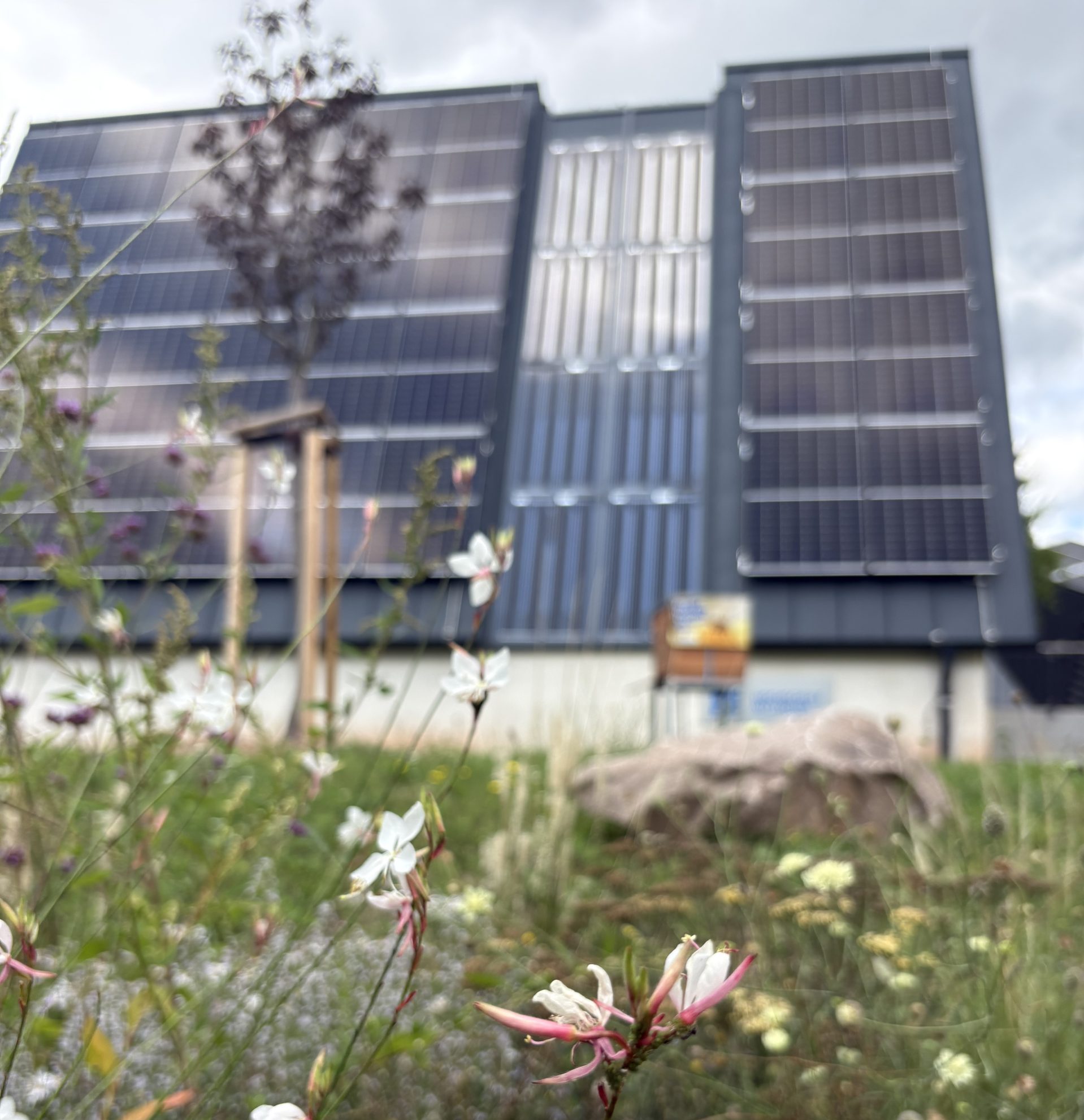 Telewerk im Innovationsquartier Werkbank32